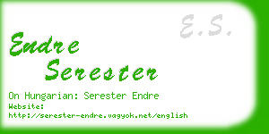 endre serester business card